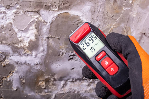Best Toxic Mold Removal  in Eagle, CO